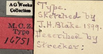 Media type: image;   Entomology 16751 Aspect: labels